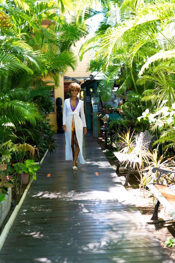 Hotel Les Bougainvilliers Saint-Gilles-les Bains Eksteriør billede