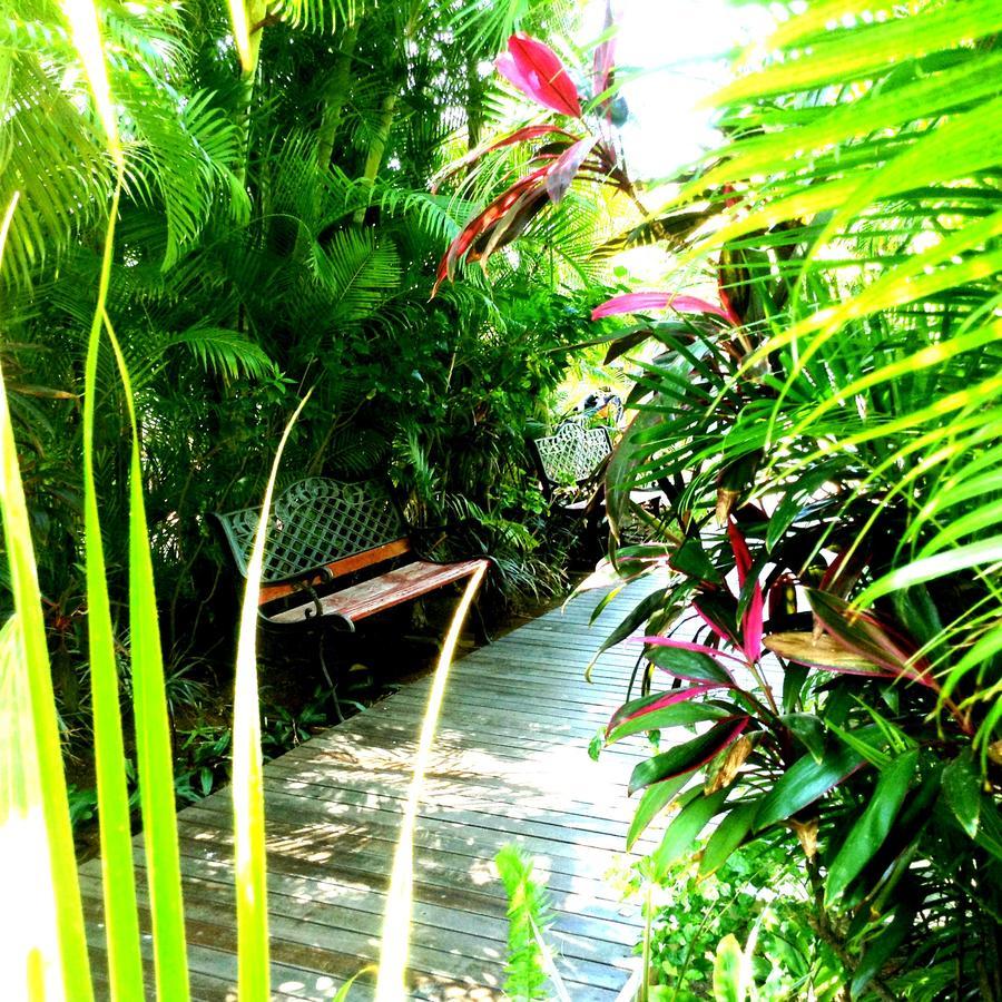 Hotel Les Bougainvilliers Saint-Gilles-les Bains Eksteriør billede
