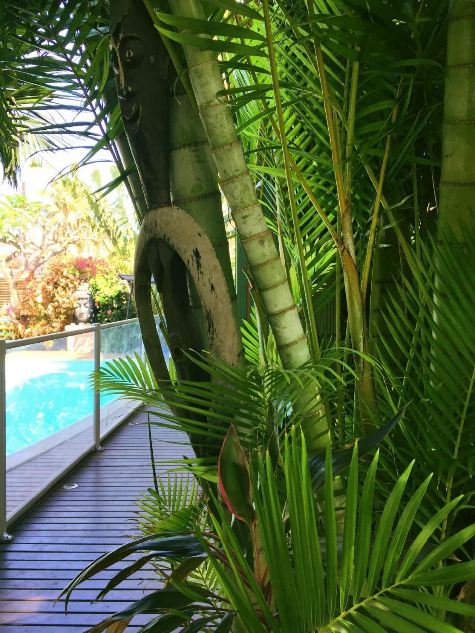 Hotel Les Bougainvilliers Saint-Gilles-les Bains Eksteriør billede