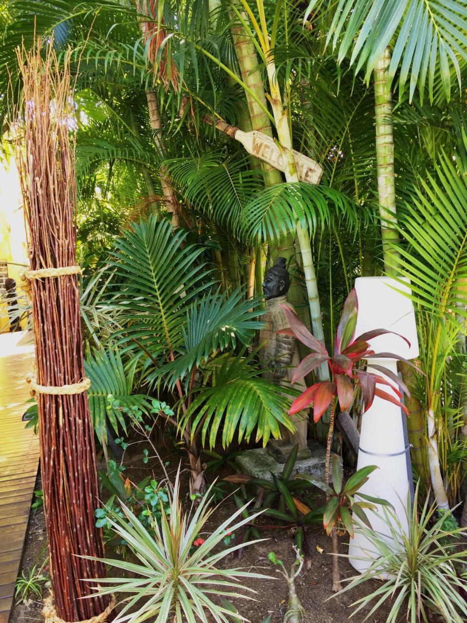 Hotel Les Bougainvilliers Saint-Gilles-les Bains Eksteriør billede